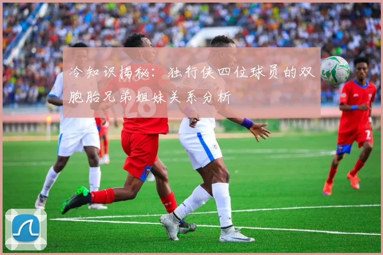 冷知识揭秘：独行侠四位球员的双胞胎兄弟姐妹关系分析