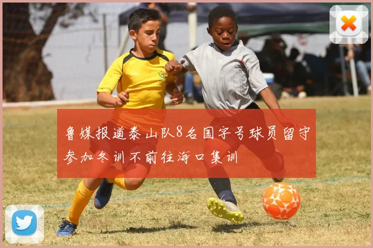 鲁媒报道泰山队8名国字号球员留守参加冬训不前往海口集训